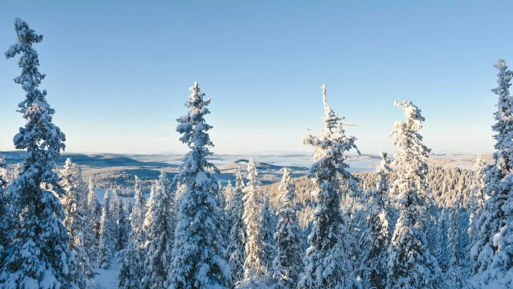 Semester i Sverige - Norrbotten