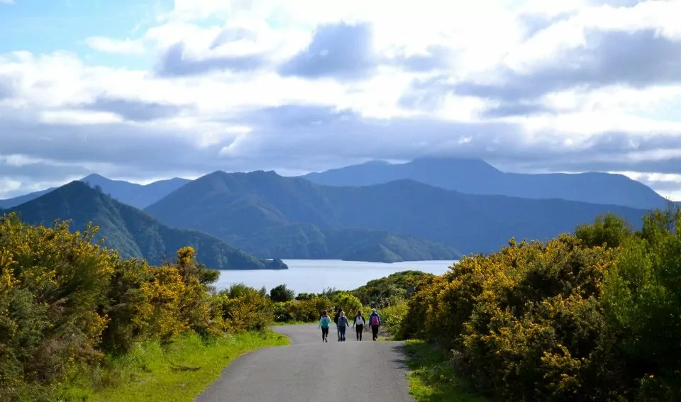 Nya Zeeland, på hike i Abel Tasman