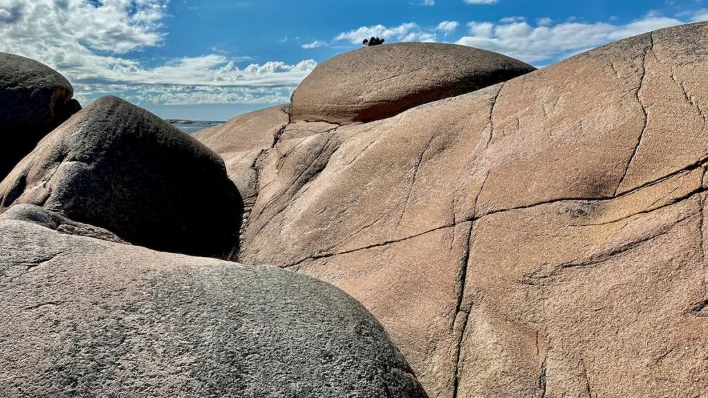 Göra i Lysekil - Stångehuvud naturreservat