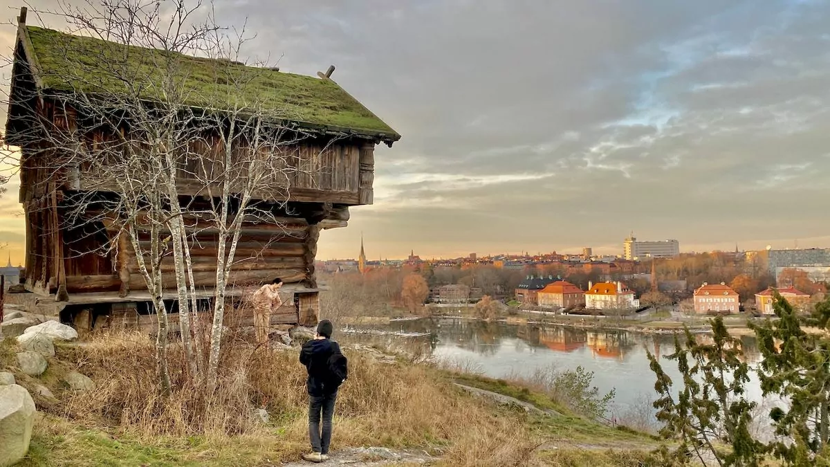 besöka Skansen