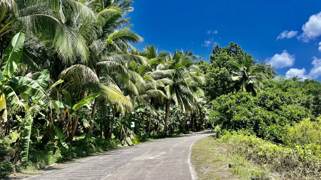 camotes Islands