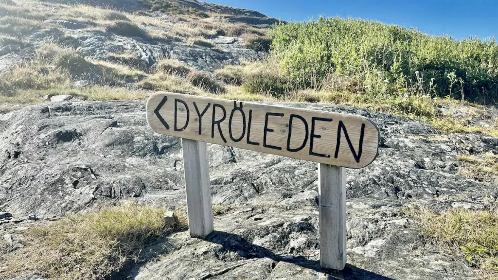 Dyröleden