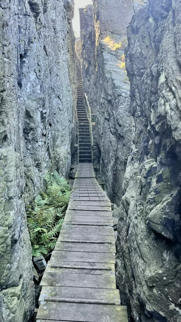 Ravin på Dyrön i Bohuslän