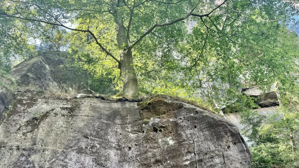 Saxiska Schweiz i Tyskland