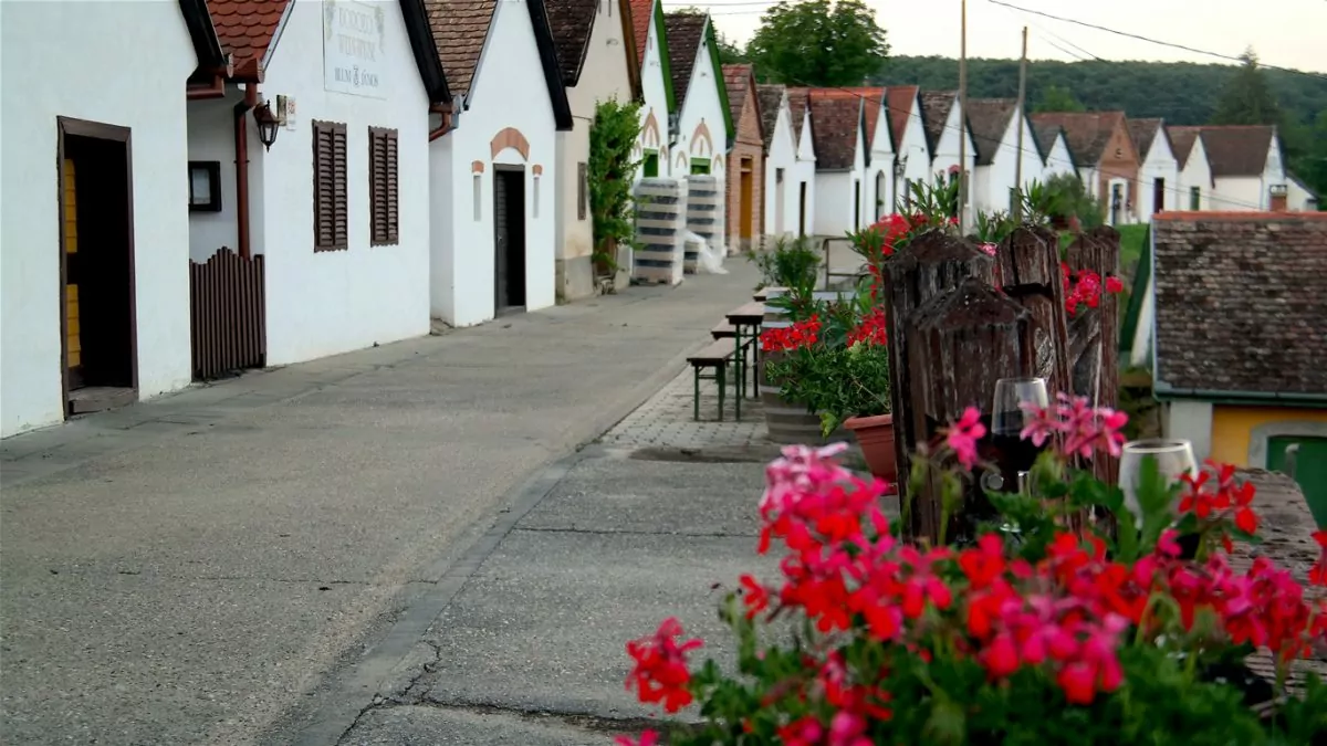 vinregion i södra Ungern